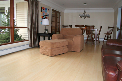 After_LivingtoDiningRoom-thumb