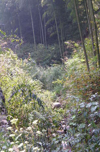 China%20014-thumb-400x605