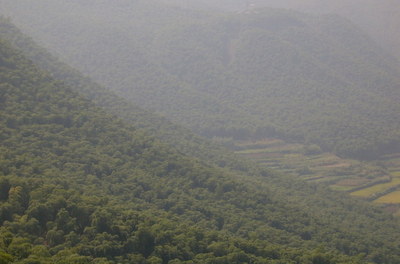 China%20020-thumb-400x264
