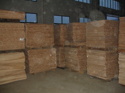 DSC05511-thumb-400x300