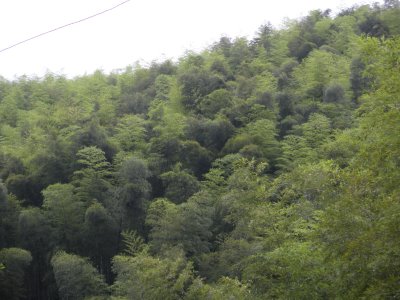 DSCN0453