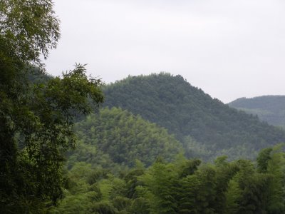 DSCN0455