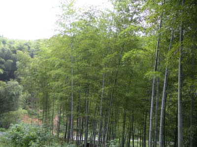 DSCN0456