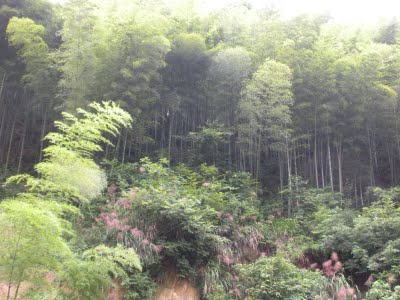 DSCN0457