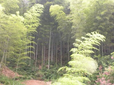 DSCN0458