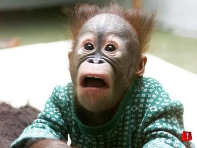 Shocked-thumb