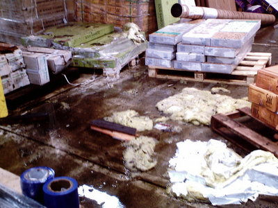 Store%20Fire%20062908%20013-thumb-400x300