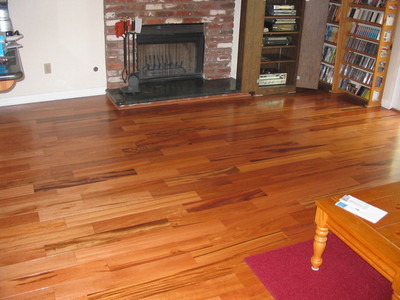 tigerwood4-thumb-400x300