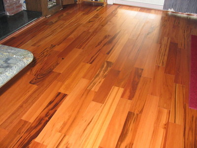 tigerwood8-thumb-400x300