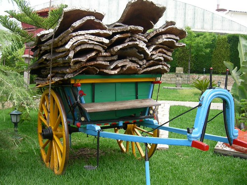 cork flooring bark